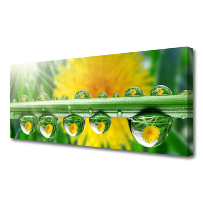 Quadro canvas Caule Gotas Orvalho Planta