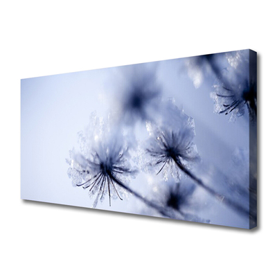 Quadro canvas Planta dente-de-leão