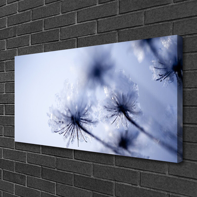 Quadro canvas Planta dente-de-leão