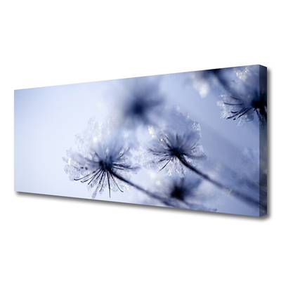 Quadro canvas Planta dente-de-leão