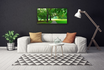 Quadro em tela Caminho da Natureza das Árvores