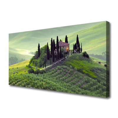 Quadro em tela Árvores do Prado Natureza