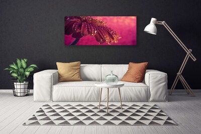 Quadro em tela Árvore Natureza Planta