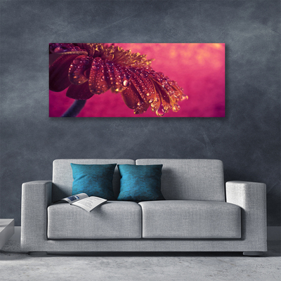 Quadro em tela Árvore Natureza Planta