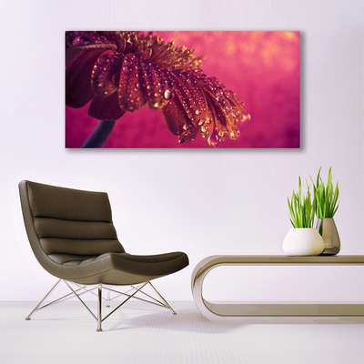 Quadro em tela Árvore Natureza Planta