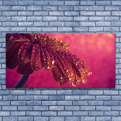 Quadro em tela Árvore Natureza Planta