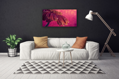 Quadro em tela Árvore Natureza Planta