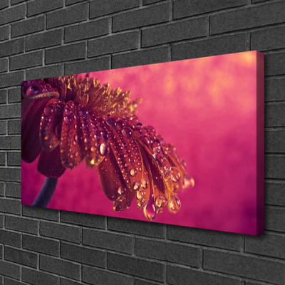 Quadro em tela Árvore Natureza Planta