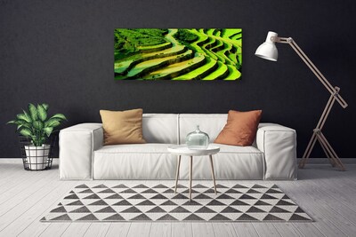 Quadro em tela Natureza da Floresta de Arroz de Campo