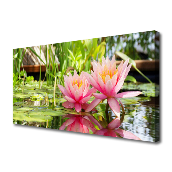 Quadro canvas Flores Planta Natureza
