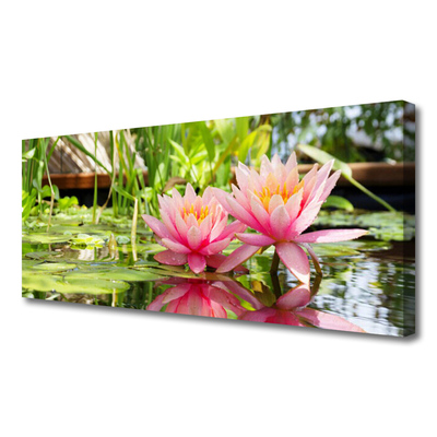 Quadro canvas Flores Planta Natureza