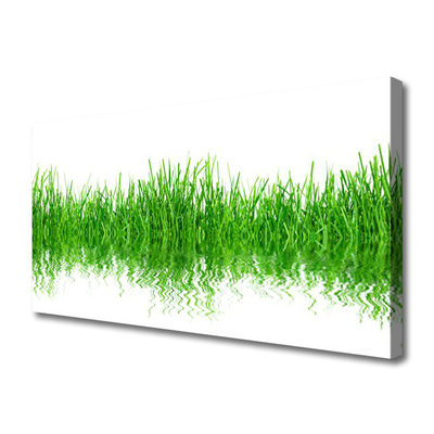 Quadro canvas Natureza da planta grama