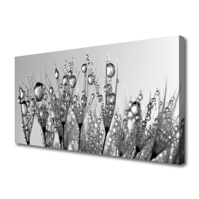 Quadro em tela Abstração Planta Natureza