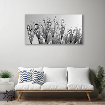 Quadro em tela Abstração Planta Natureza