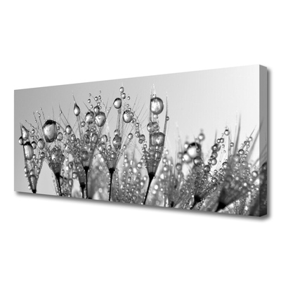 Quadro em tela Abstração Planta Natureza