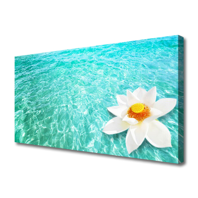 Quadro canvas Arte da Flor Aquática