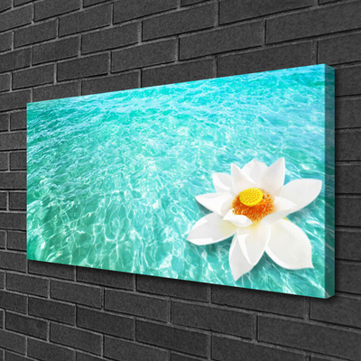 Quadro canvas Arte da Flor Aquática