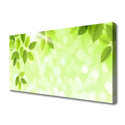 Quadro canvas Folhas Natureza Planta