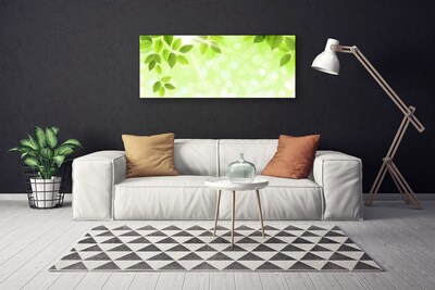 Quadro canvas Folhas Natureza Planta