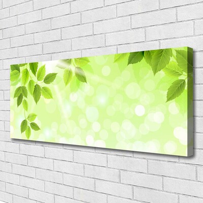 Quadro canvas Folhas Natureza Planta