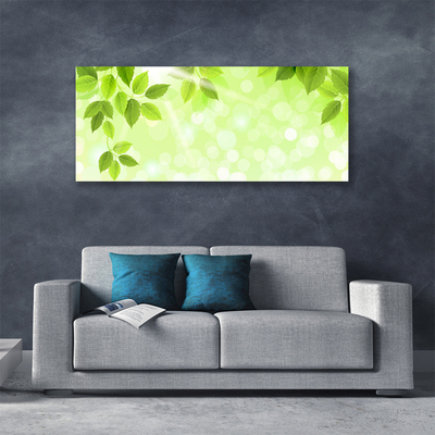 Quadro canvas Folhas Natureza Planta