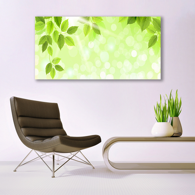 Quadro canvas Folhas Natureza Planta