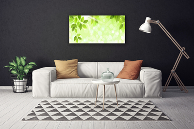 Quadro canvas Folhas Natureza Planta