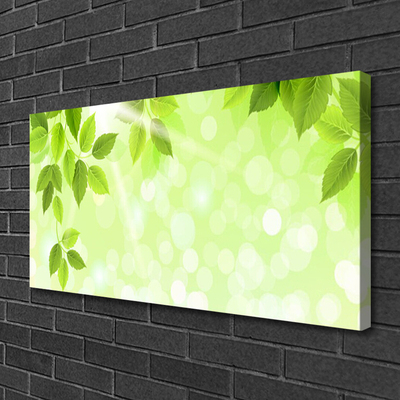 Quadro canvas Folhas Natureza Planta