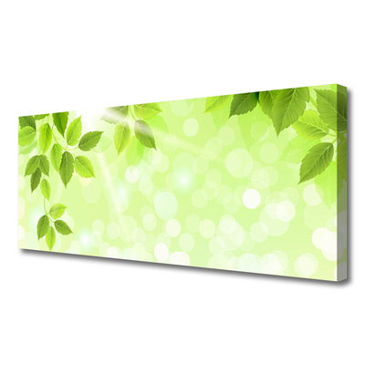 Quadro canvas Folhas Natureza Planta