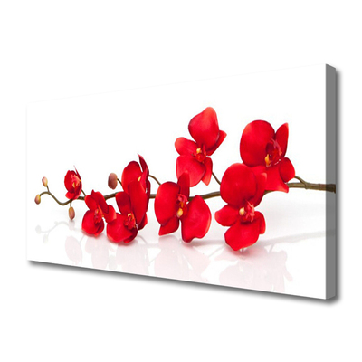 Quadro canvas Flores Planta Natureza