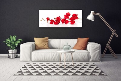 Quadro canvas Flores Planta Natureza
