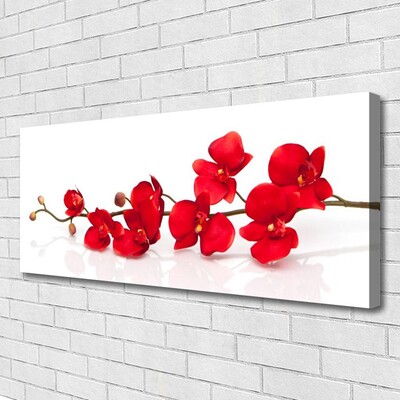 Quadro canvas Flores Planta Natureza