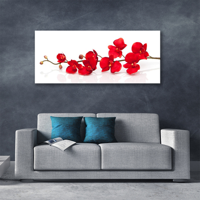 Quadro canvas Flores Planta Natureza