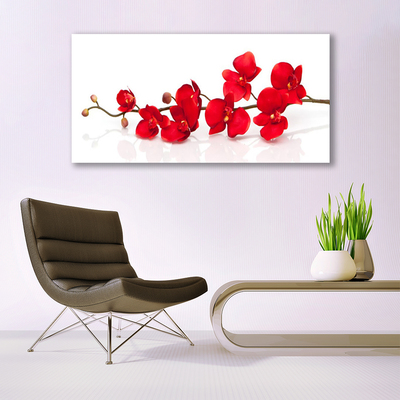 Quadro canvas Flores Planta Natureza