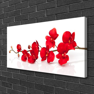 Quadro canvas Flores Planta Natureza
