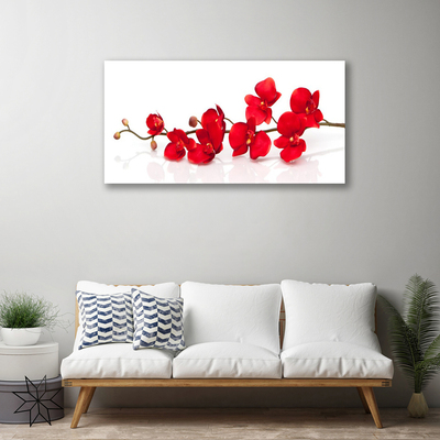 Quadro canvas Flores Planta Natureza