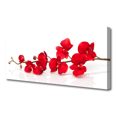 Quadro canvas Flores Planta Natureza