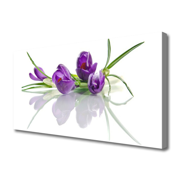 Quadro canvas Flores Planta Natureza