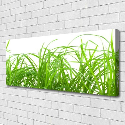 Quadro em tela Natureza da planta grama