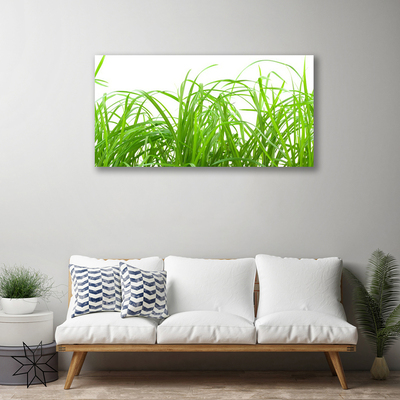 Quadro em tela Natureza da planta grama
