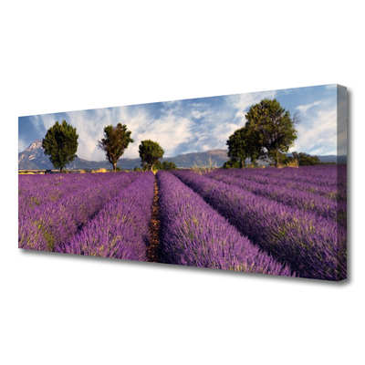 Quadro em tela Árvores do Prado Natureza