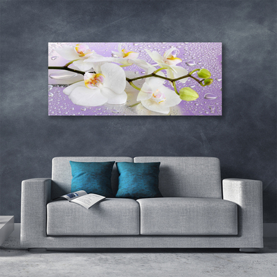 Quadro em tela Flores Planta Natureza