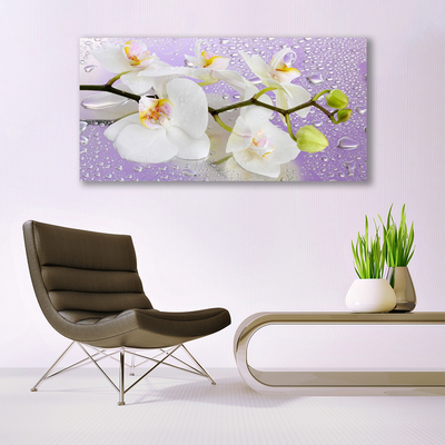 Quadro em tela Flores Planta Natureza