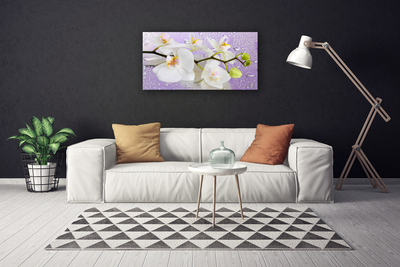 Quadro em tela Flores Planta Natureza