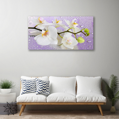 Quadro em tela Flores Planta Natureza