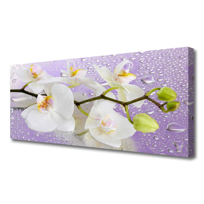 Quadro em tela Flores Planta Natureza