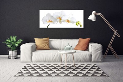 Quadro em tela Flores Planta Natureza