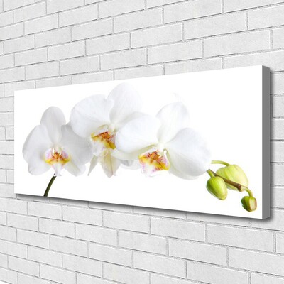 Quadro em tela Flores Planta Natureza
