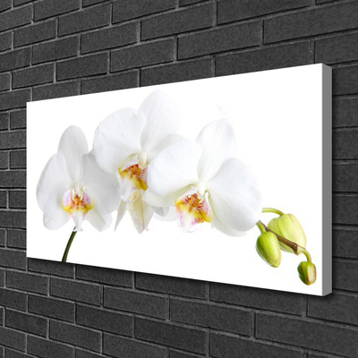 Quadro em tela Flores Planta Natureza