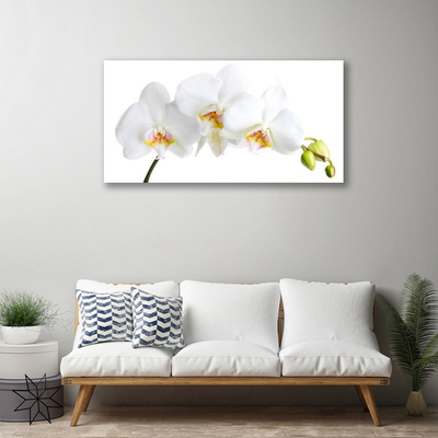 Quadro em tela Flores Planta Natureza